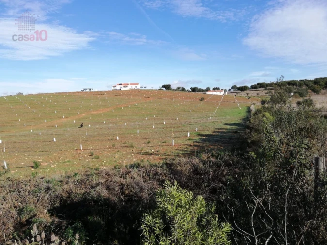 Quinta T5 para Venda em Gloria Foto 49