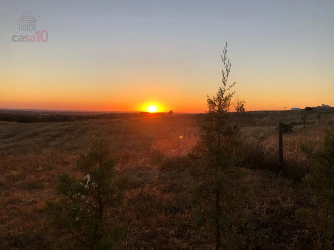 Quinta T5 para Venda em Gloria Foto 54