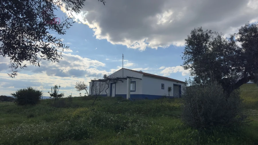 Quinta T5 para Venda em Gloria Foto 3