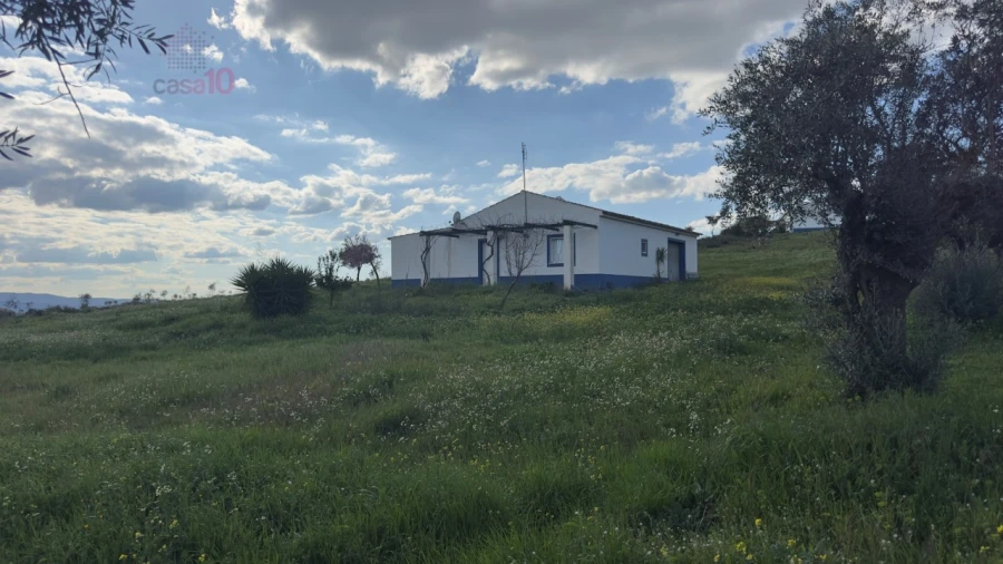 Quinta T5 para Venda em Gloria Foto 4