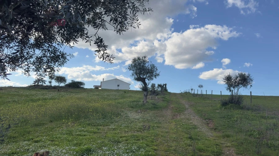 Quinta T5 para Venda em Gloria Foto 11