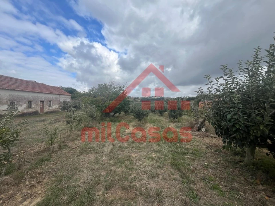 Quinta T3 para Venda em Carvalhal Foto 1