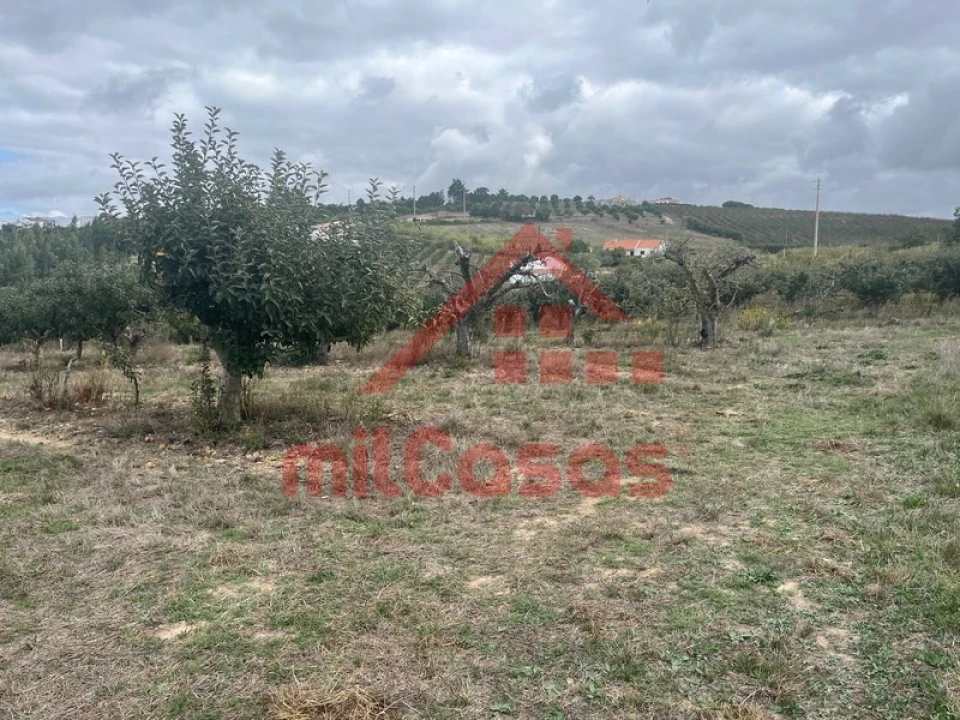 Quinta T3 para Venda em Carvalhal Foto 15