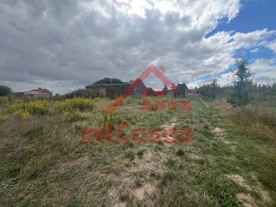 Quinta T3 para Venda em Carvalhal Foto 17