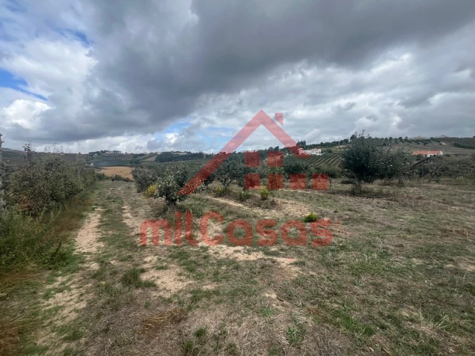 Quinta T3 para Venda em Carvalhal Foto 18