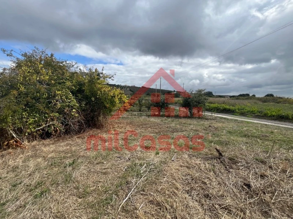 Quinta T3 para Venda em Carvalhal Foto 21