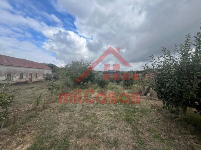 Quinta T3 para Venda em Carvalhal Foto 1