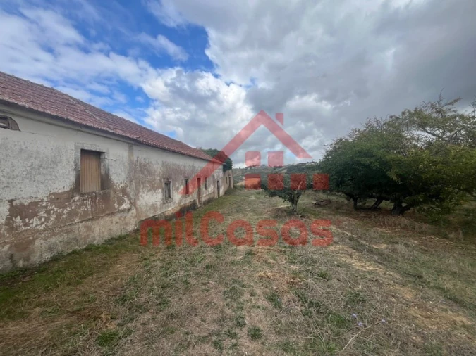 Quinta T3 para Venda em Carvalhal Foto 3