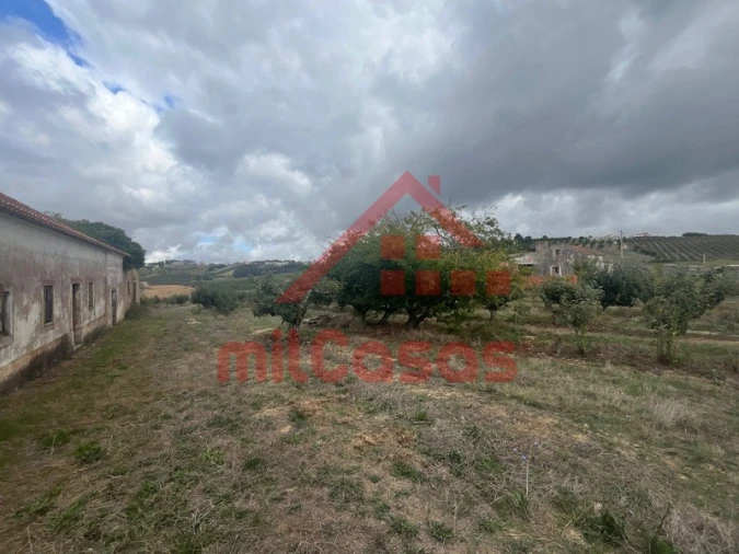 Quinta T3 para Venda em Carvalhal Foto 5