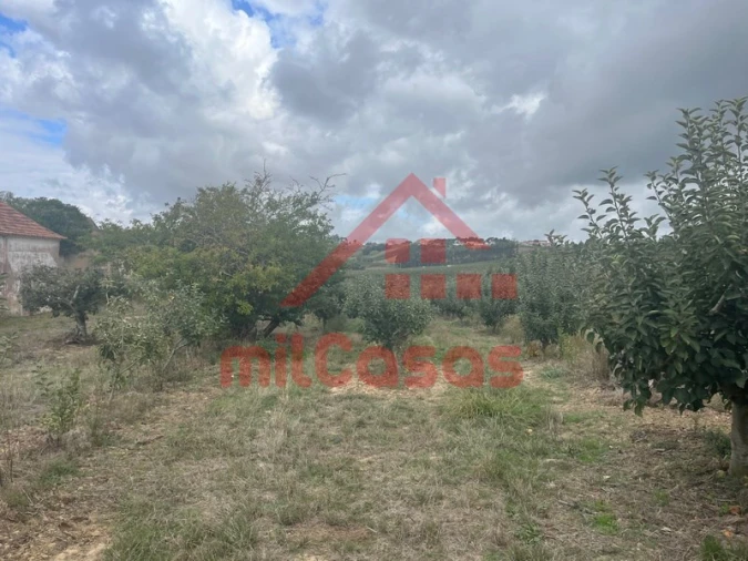 Quinta T3 para Venda em Carvalhal Foto 6