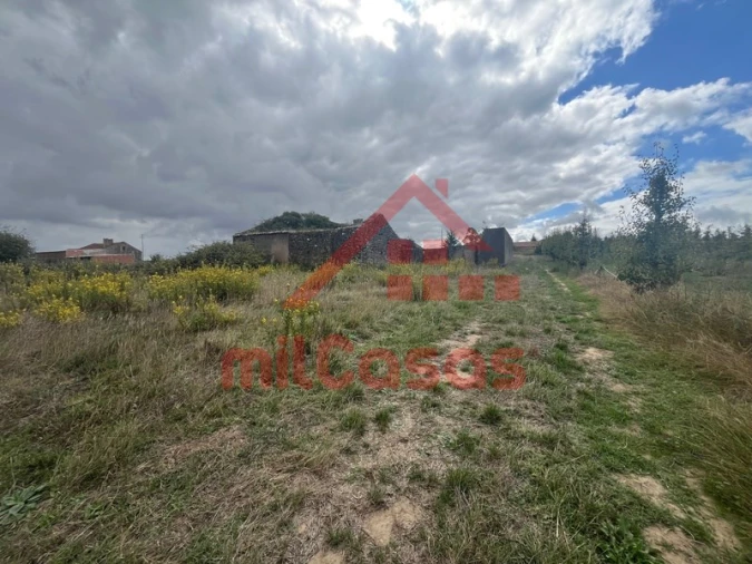 Quinta T3 para Venda em Carvalhal Foto 17