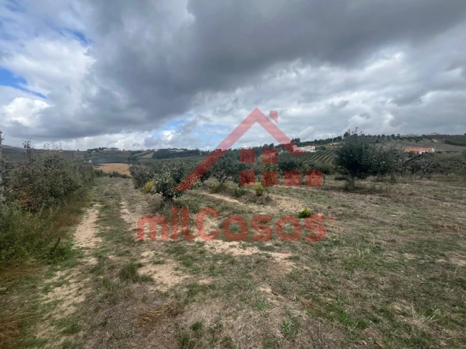 Quinta T3 para Venda em Carvalhal Foto 18