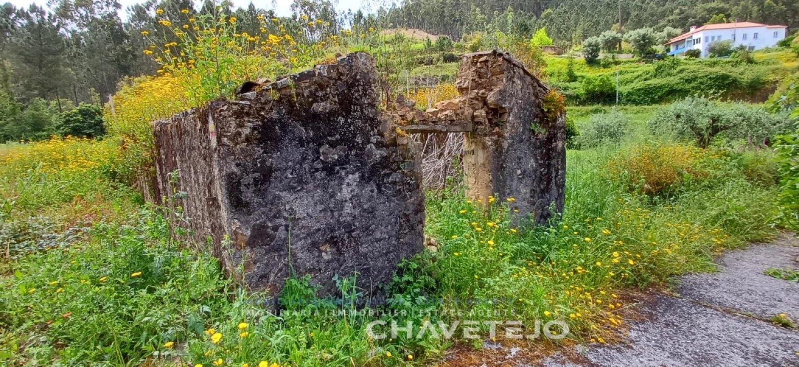 Quinta T3 para Venda em Nossa Senhora do Pranto Foto 6
