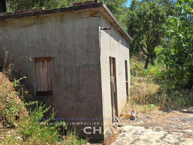 Quinta T3 para Venda em Nossa Senhora do Pranto Foto 66