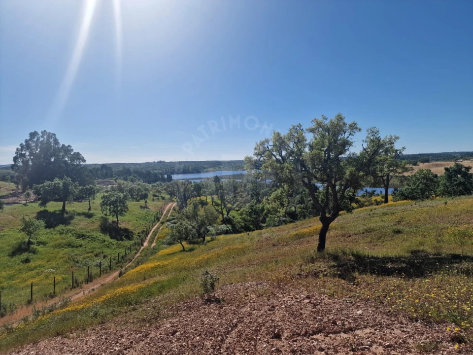Terreno Agricola ou Rústico para Venda em São Domingos e Vale de Água Foto 1