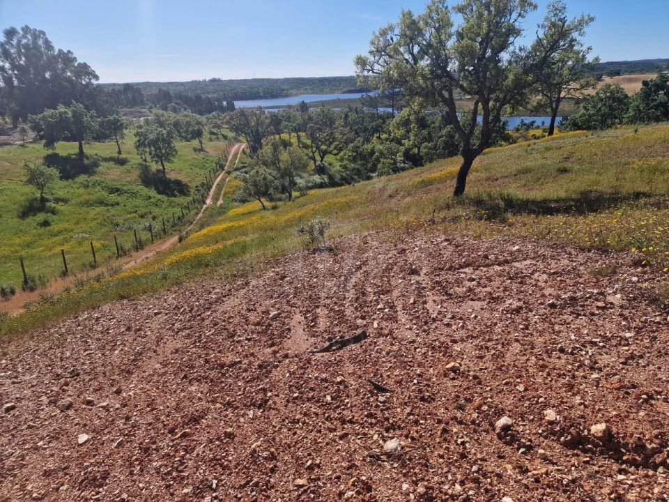 Terreno Agricola ou Rústico para Venda em São Domingos e Vale de Água Foto 2