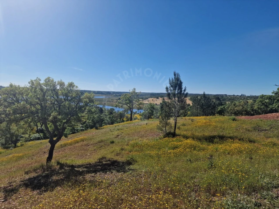 Terreno Agricola ou Rústico para Venda em São Domingos e Vale de Água Foto 3