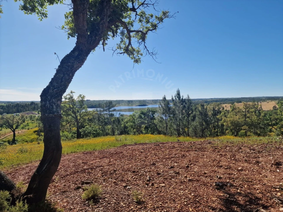 Terreno Agricola ou Rústico para Venda em São Domingos e Vale de Água Foto 5