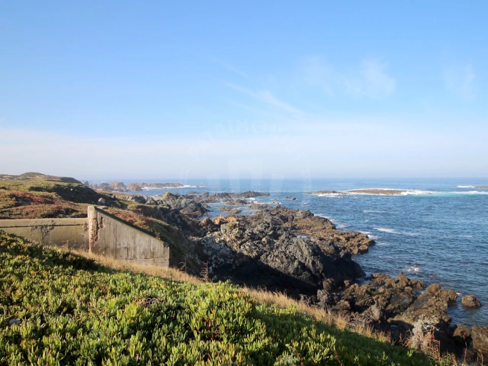 Terreno Agricola ou Rústico para Venda em São Domingos e Vale de Água Foto 15