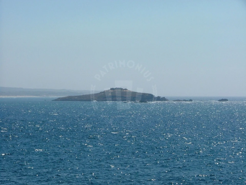 Terreno Agricola ou Rústico para Venda em São Domingos e Vale de Água Foto 19
