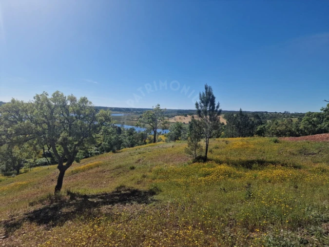 Terreno Agricola ou Rústico para Venda em São Domingos e Vale de Água Foto 3