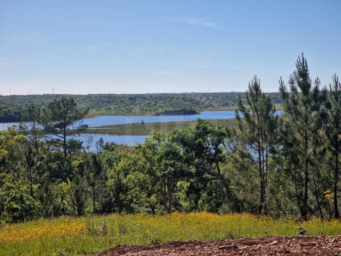 Terreno Agricola ou Rústico para Venda em São Domingos e Vale de Água Foto 4