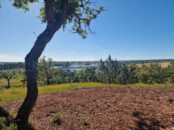 Terreno Agricola ou Rústico para Venda em São Domingos e Vale de Água Foto 5