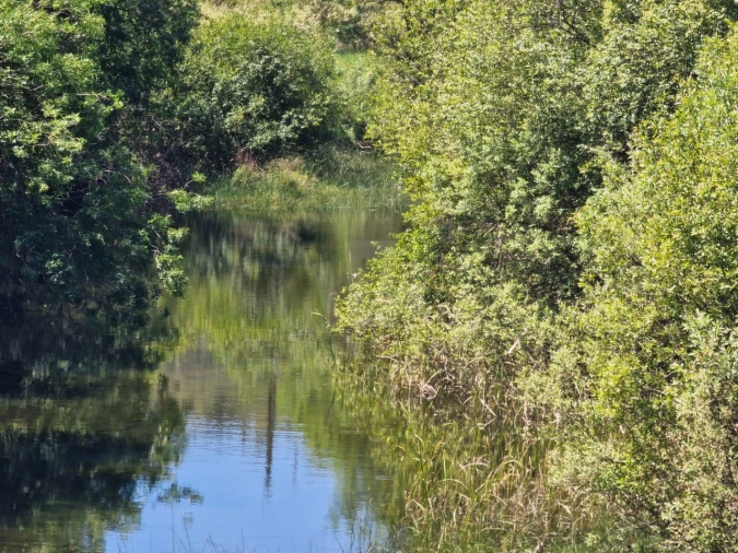 Terreno Agricola ou Rústico para Venda em São Domingos e Vale de Água Foto 10