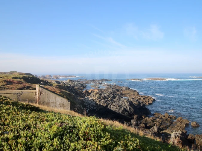 Terreno Agricola ou Rústico para Venda em São Domingos e Vale de Água Foto 15