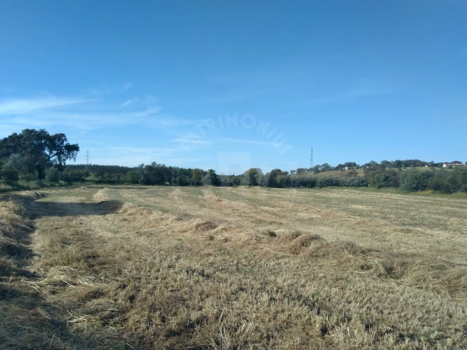 Terreno Misto para Venda em São Domingos e Vale de Água Foto 8