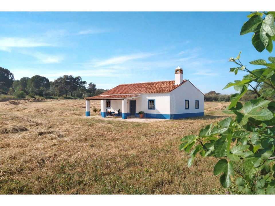 Terreno Misto para Venda em São Domingos e Vale de Água Foto 1