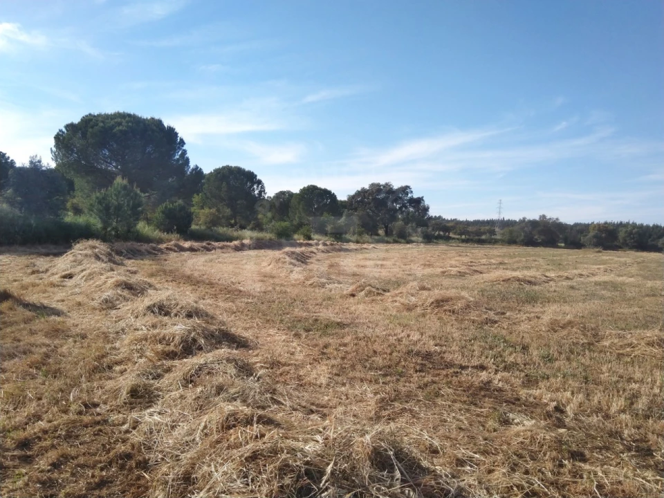 Terreno Misto para Venda em São Domingos e Vale de Água Foto 4