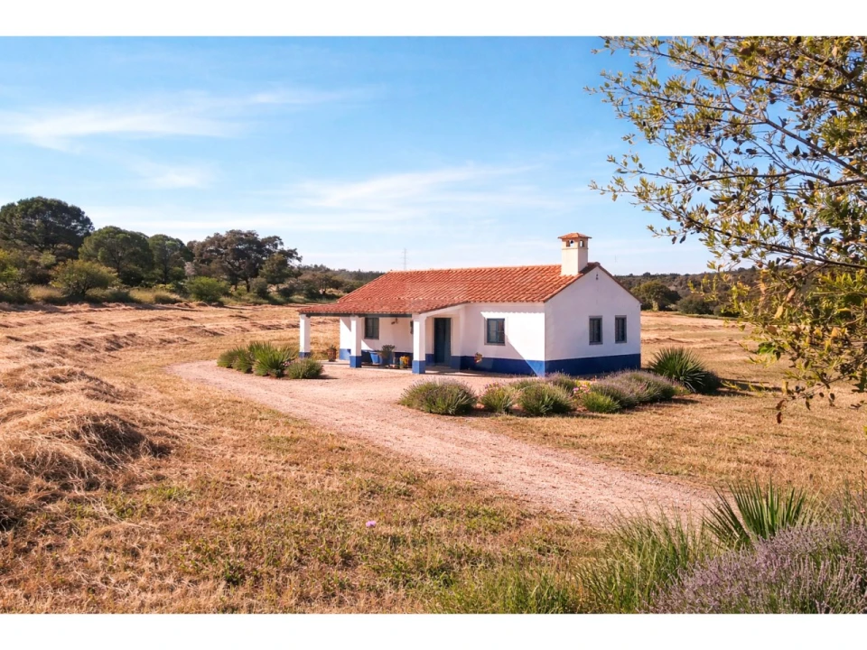 Terreno Misto para Venda em São Domingos e Vale de Água Foto 7