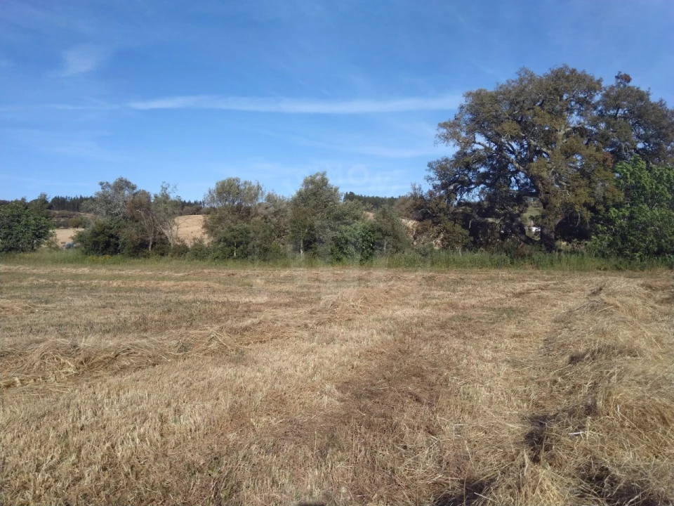 Terreno Misto para Venda em São Domingos e Vale de Água Foto 10