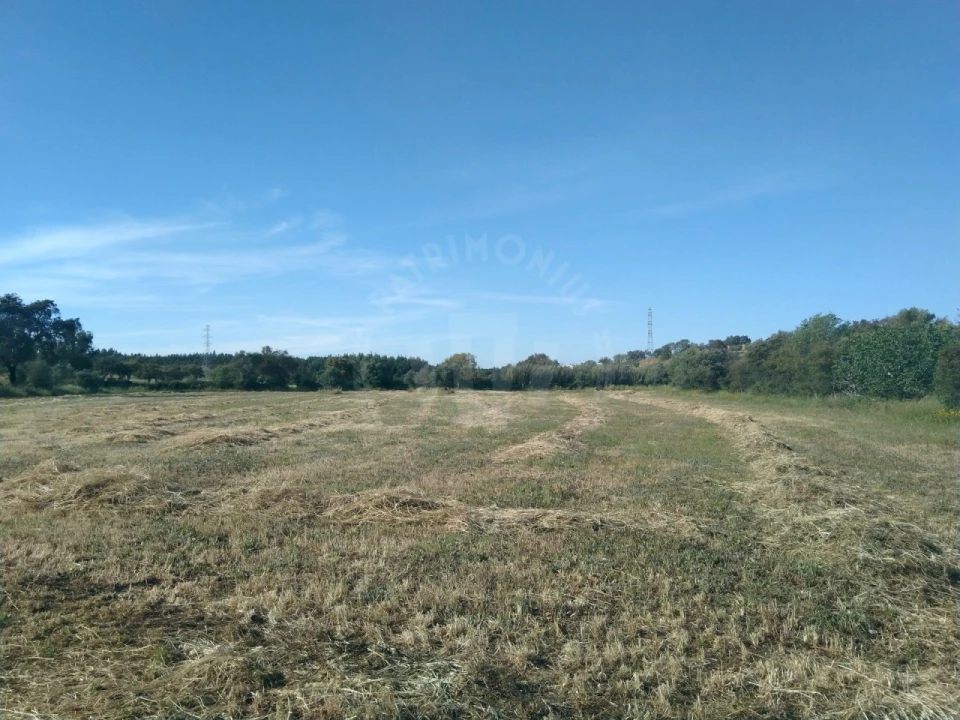 Terreno Misto para Venda em São Domingos e Vale de Água Foto 13
