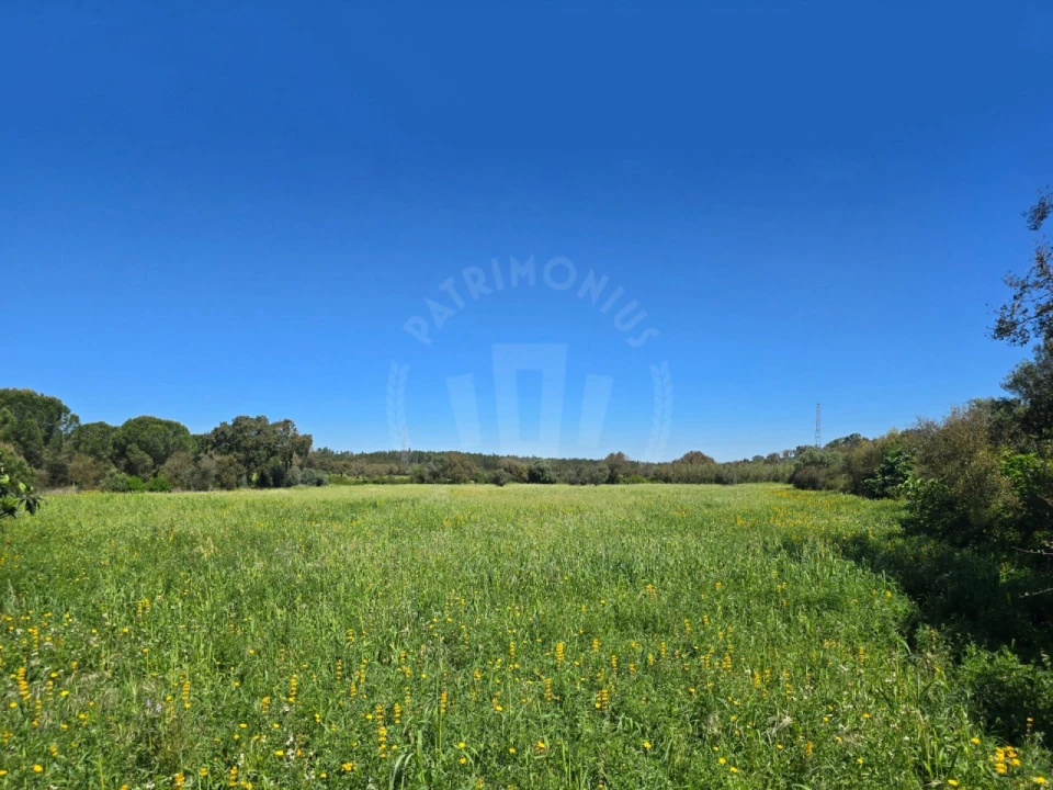 Terreno Misto para Venda em São Domingos e Vale de Água Foto 17