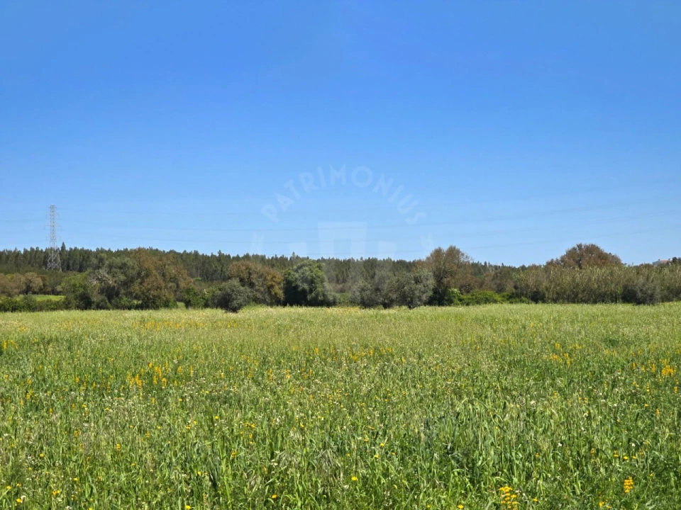 Terreno Misto para Venda em São Domingos e Vale de Água Foto 18