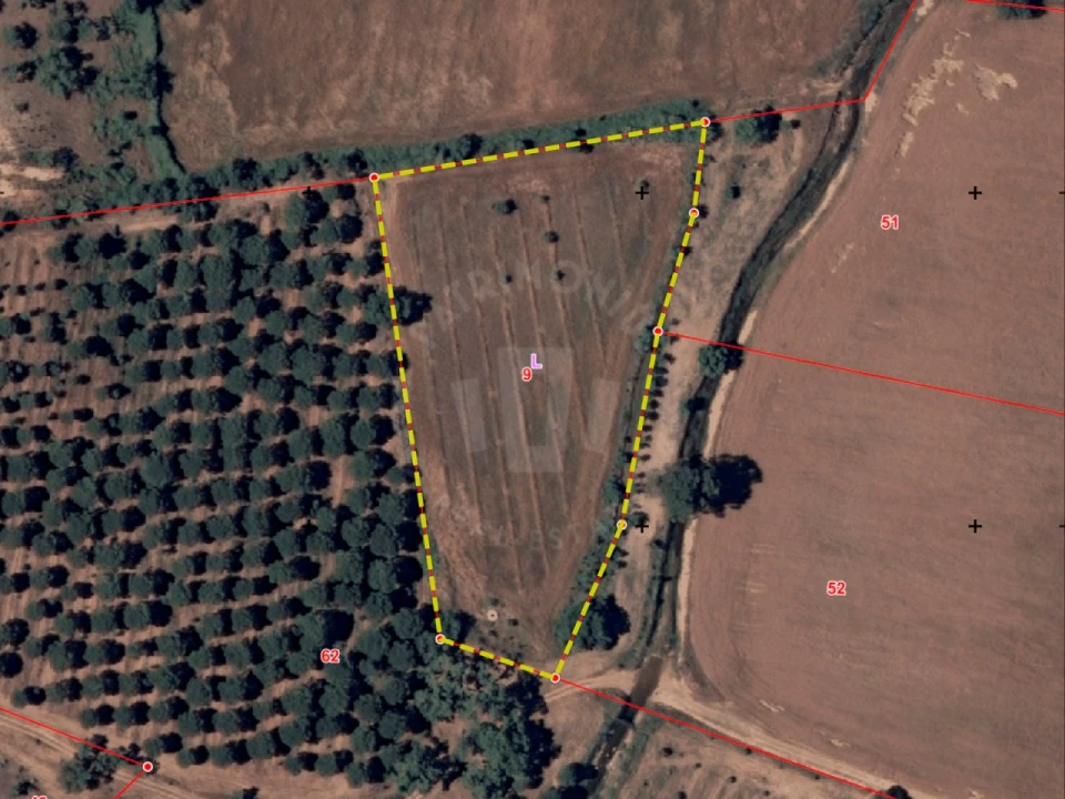 Terreno Misto para Venda em São Domingos e Vale de Água Foto 21