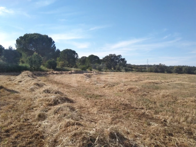 Terreno Misto para Venda em São Domingos e Vale de Água Foto 5