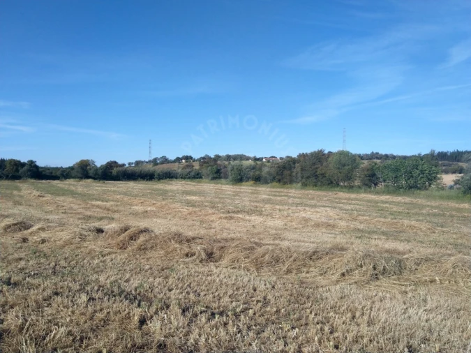 Terreno Misto para Venda em São Domingos e Vale de Água Foto 6