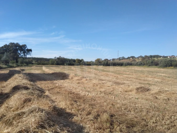 Terreno Misto para Venda em São Domingos e Vale de Água Foto 9