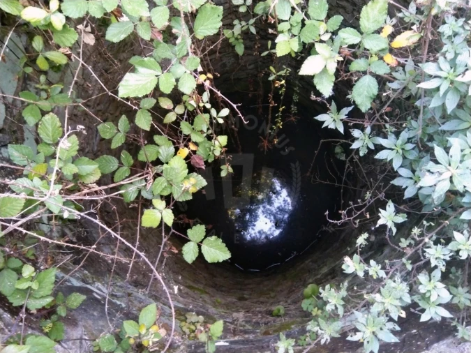 Terreno Misto para Venda em São Domingos e Vale de Água Foto 10