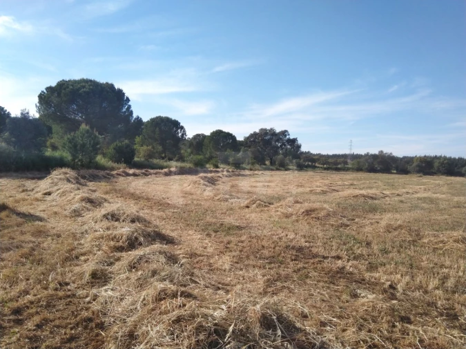 Terreno Misto para Venda em São Domingos e Vale de Água Foto 4