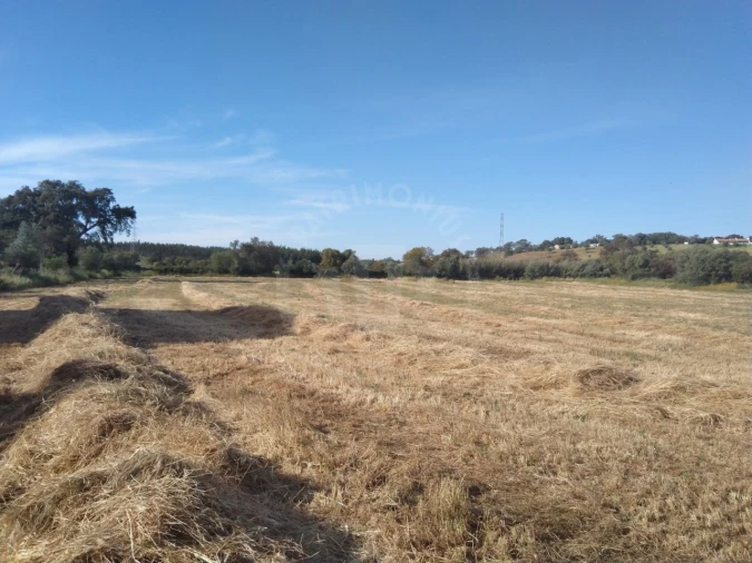 Terreno Misto para Venda em São Domingos e Vale de Água Foto 6