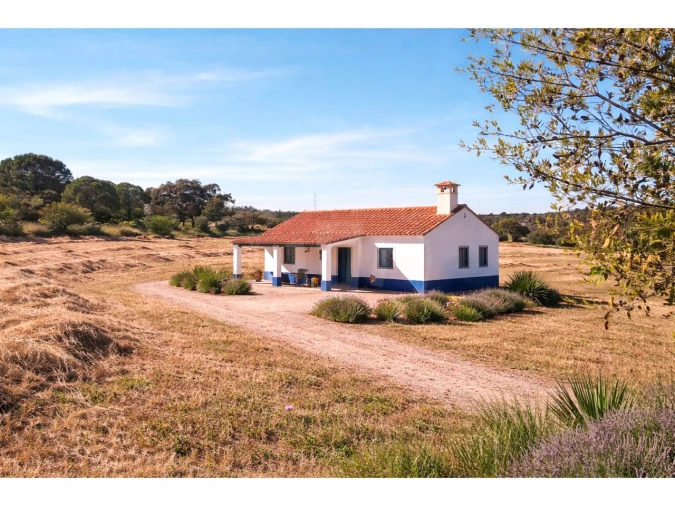 Terreno Misto para Venda em São Domingos e Vale de Água Foto 7