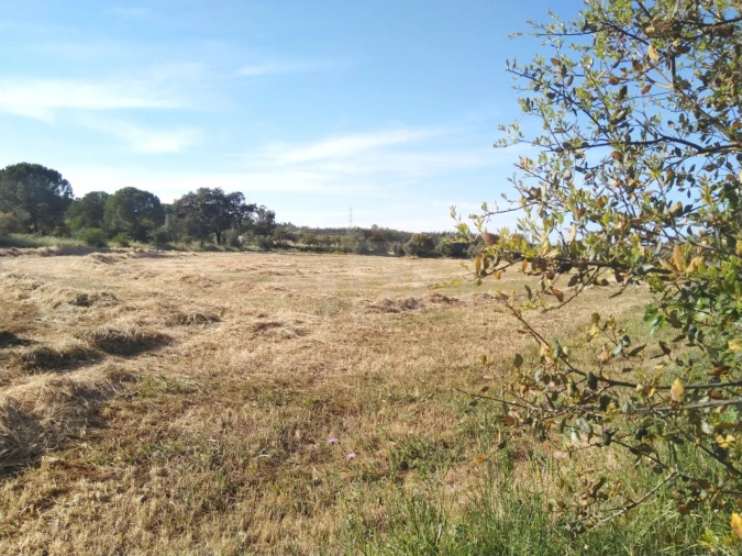 Terreno Misto para Venda em São Domingos e Vale de Água Foto 8