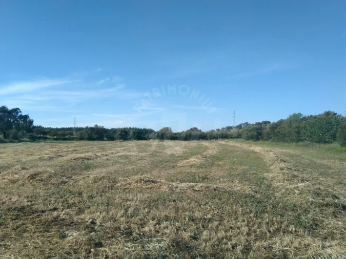 Terreno Misto para Venda em São Domingos e Vale de Água Foto 13