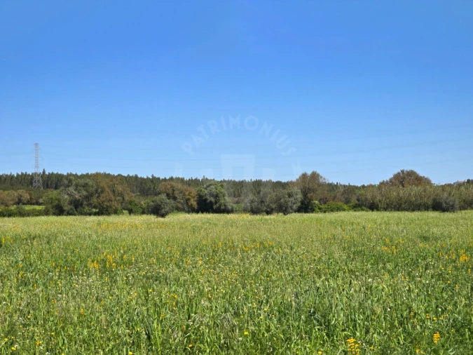 Terreno Misto para Venda em São Domingos e Vale de Água Foto 18