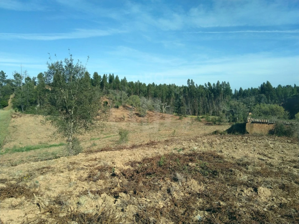 Terreno Agricola ou Rústico para Venda em Santiago do Cacém, Santa Cruz e São Bartolomeu da Serra Foto 2