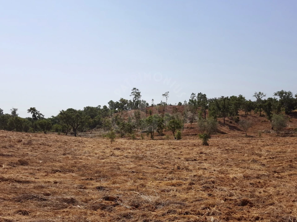 Terreno Agricola ou Rústico para Venda em Santiago do Cacém, Santa Cruz e São Bartolomeu da Serra Foto 8
